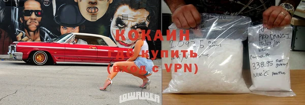 крисы Новозыбков